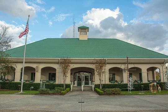 A large building featuring a distinctive green roof, surrounded by a clear blue sky